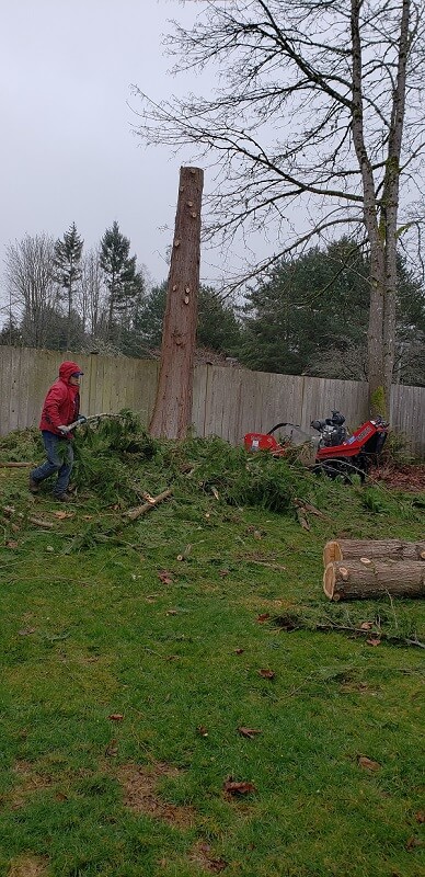 Tree Cutting